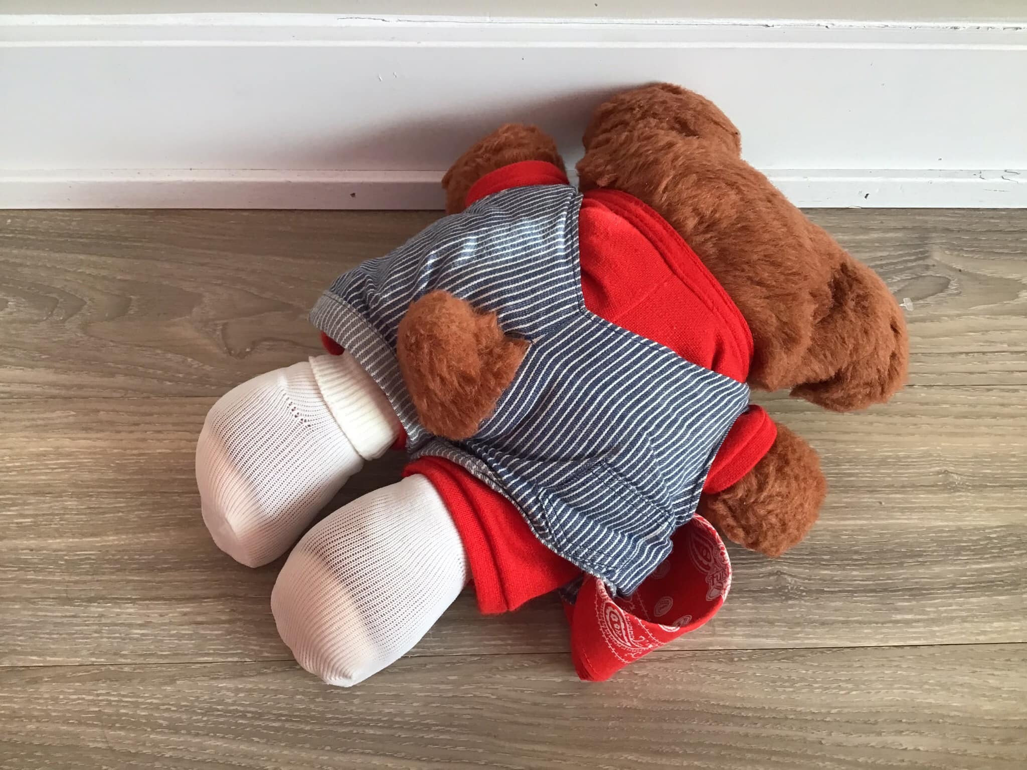 teddy proto_o.f.-n.f._pink_set_of_4.