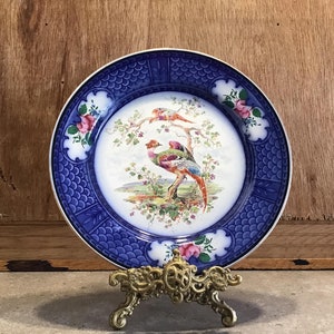 Antique Royal Doulton Plate Bird Of Paradise Made in England