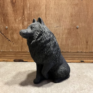 Sandicast SCHIPPERKE Black Dog Statue autorstwa artystki Sandry Brue. Pięknie uchwycony charakter „Little Black Devil” - RZADKI