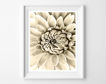 Floral Print Black and White print Decorative Art Fine Wall Art