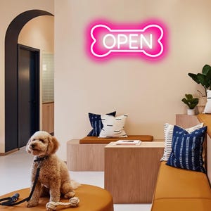 以下が含まれることがあります： 「OPEN」の文字が入った骨の形をしたネオンサインがある犬関連のビジネスのインテリア。 小さな巻き毛の犬がオレンジ色のオットマンに座っています。 クッションと木製家具も配置されています。