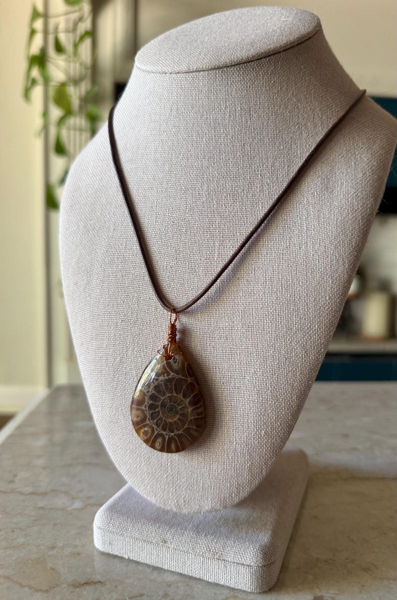 Puede incluir: Collar con colgante en forma de l&aacute;grima con un f&oacute;sil de amonita pulido. El f&oacute;sil marr&oacute;n presenta intrincados patrones en espiral, suspendido de un cord&oacute;n marr&oacute;n. El colgante est&aacute; envuelto con alambre de cobre.