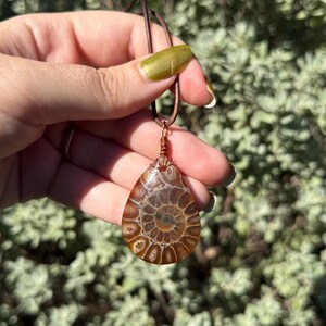 Puede incluir: Un colgante en forma de l&aacute;grima con un amonita fosilizada, que muestra intrincados patrones en espiral en tonos marrones y beige. El colgante est&aacute; suspendido de un cord&oacute;n de cuero marr&oacute;n, con detalles de alambre de cobre. Fondo borroso de follaje verde.