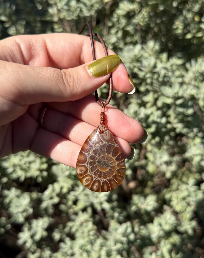Puede incluir: Un colgante en forma de l&aacute;grima con un amonita fosilizada, que muestra intrincados patrones en espiral en tonos marrones y beige. El colgante est&aacute; suspendido de un cord&oacute;n de cuero marr&oacute;n, con detalles de alambre de cobre. Fondo borroso de follaje verde.