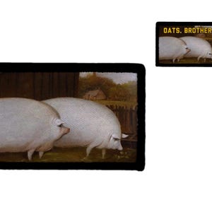 Par av grisar målar meme bror får jag få lite havre lapp