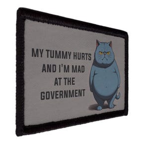 My Tummy Hurts and I am Mad At Government Cat Patch