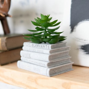 Op de afbeelding: Een kleine succulent plant in een pot gemaakt van gestapelde boeken. De boeken zijn wit en hebben de titels "Little Elephants", "The Winter", "The Book of Children" en "The Wild" op de omslagen.