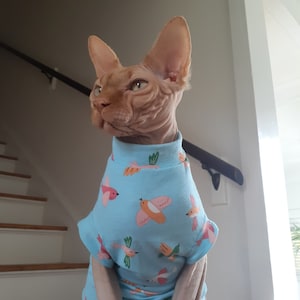 Sphynx bird cheap