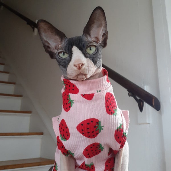 LAST ONE!! Sphynx Cat Clothes - SphynxBerry 2 - Adorable Ribbed Hairless Cat Shirt