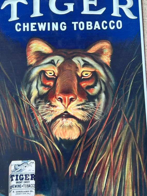 tiger spirits and tobacco Chewing Bin Antique Advertising Big news for Auburn