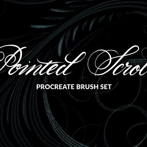 May include: A black and white image with a white cursive font that reads "Painted Scroll" and "Procreate Brush Set" on a dark background with a swirling pattern.