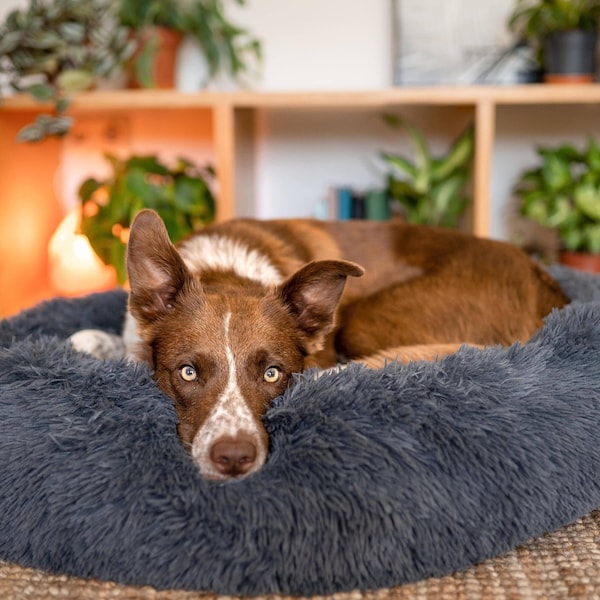 Premium Hundebett - Waschbares Hundebett - Modernes Hundebett, Orthopädisches Hundebett - Beruhigendes Hundebett, Donut Haustierbett - Hundebett große Hunde