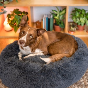 Large Donut Dog Bed – Calming Dog bed for large dogs – Orthopedic dog bed – Washable dog bed – Pet bed – Anti-anxiety dog bed, Cat Bed