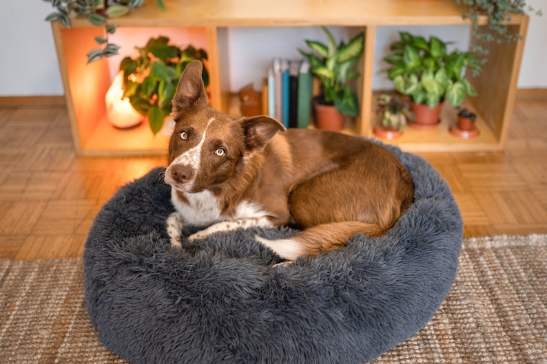 Large Donut Dog Bed – Calming Dog bed for large dogs – Orthopedic dog bed – Washable dog bed – Pet bed – Anti-anxiety dog bed, Cat Bed