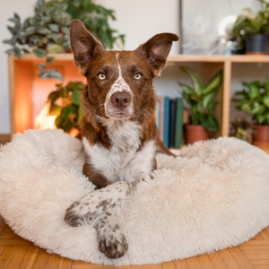 Premium Dog Bed - Washable Dog Bed - Modern Dog Bed, Orthopedic Dog Bed - Calming Dog Bed, Donut Pet Bed - Dog Bed large Dogs