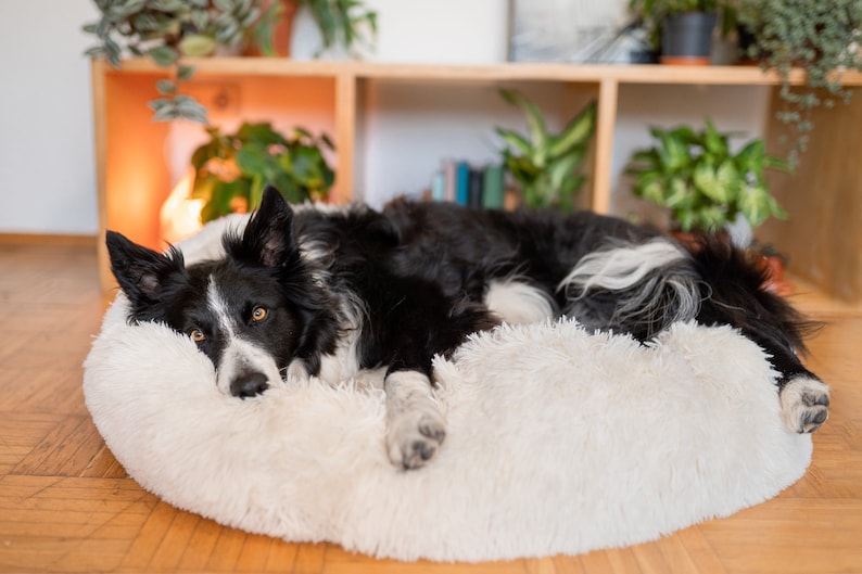 Large Donut Dog Bed – Calming Dog bed for large dogs – Orthopedic dog bed – Washable dog bed – Pet bed – Anti-anxiety dog bed, Cat Bed