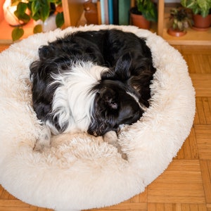 Premium Dog Bed - Washable Dog Bed - Modern Dog Bed, Orthopedic Dog Bed - Calming Dog Bed, Donut Pet Bed - Dog Bed large Dogs