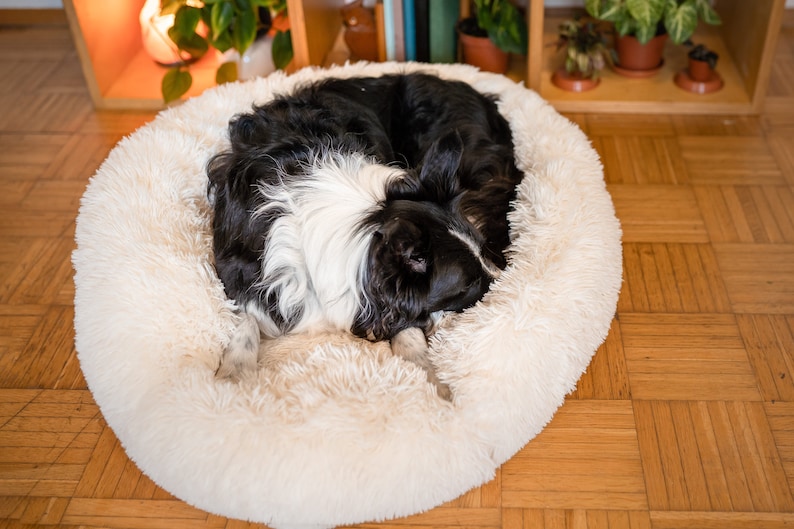 Premium Dog Bed - Washable Dog Bed - Modern Dog Bed, Orthopedic Dog Bed - Calming Dog Bed, Donut Pet Bed - Dog Bed large Dogs