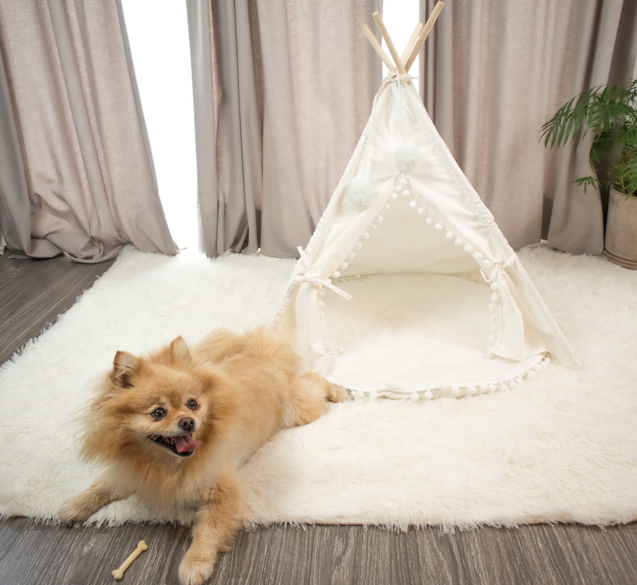 etsy dog tent