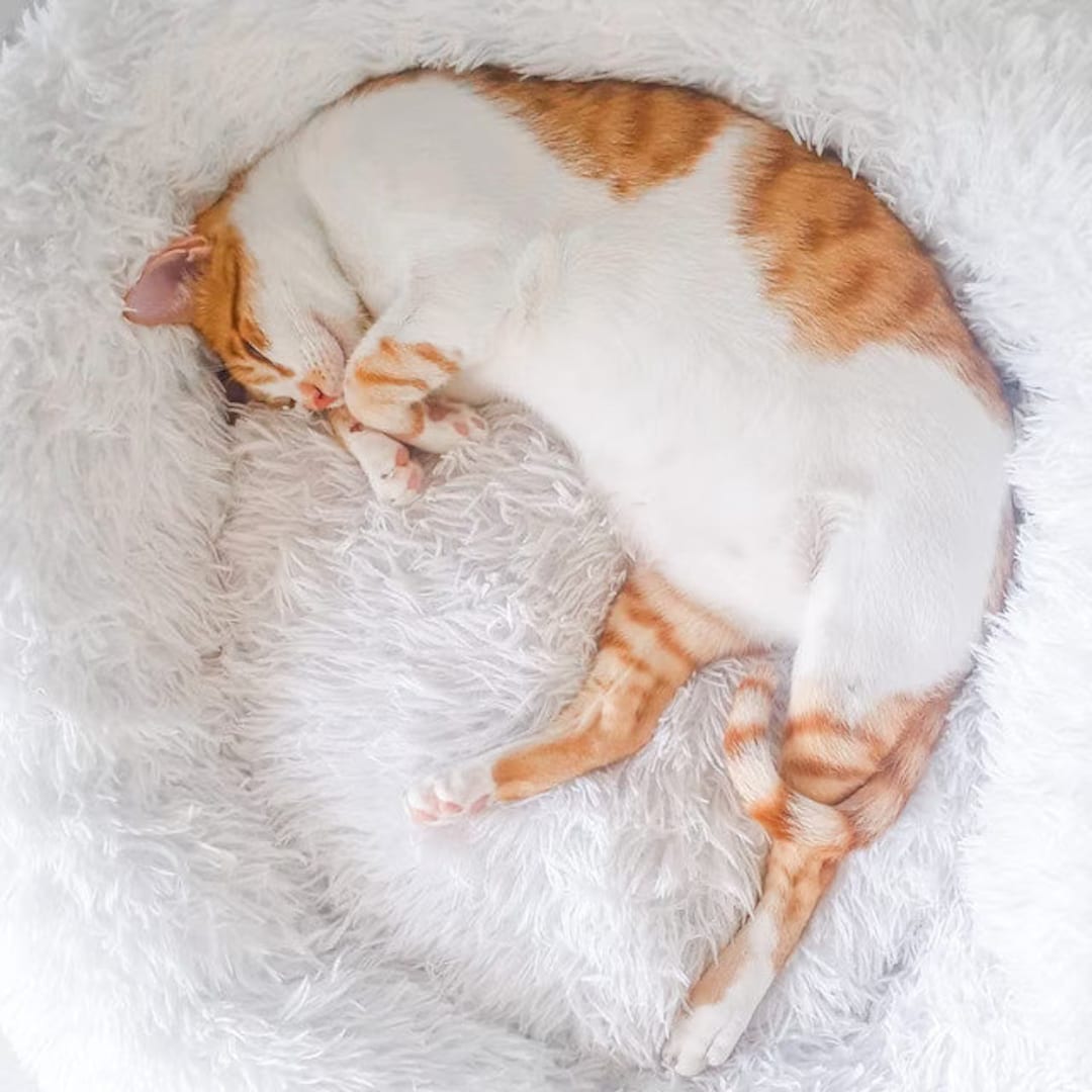Calming Cat Bed Removable Cover Washable Cat Bed Donut Cat Bed Fluffy