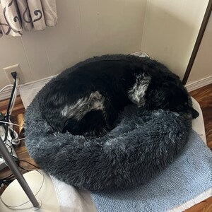 Handmade Dog Bed - Fluffy Dog Bed - Washable Dog Bed - Large Dog Bed - Modern Dog Bed, Orthopedic Dog Bed - Calming Dog Bed, Donut Dog Bed