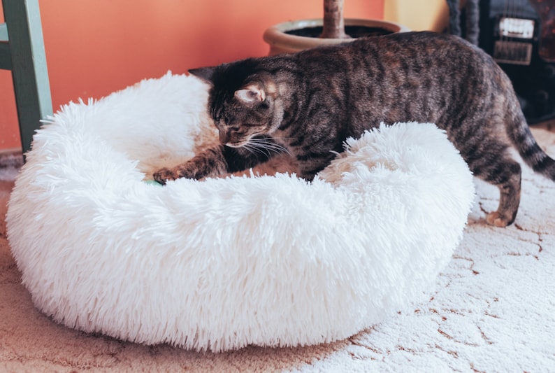 Calming Cat Bed - Donut Cat Bed - Fluffy Pet Bed - Warm Cat Bed - Kitten Bed - Cat Kennel, Soft Round Cat Bed, Cat Cave, Cat Nest