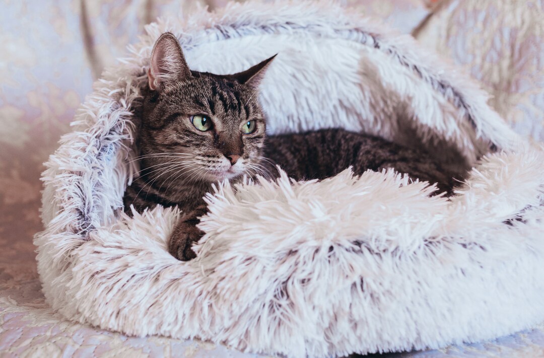 Calming Cat Bed Antianxiety Cat Cave Donut Cat Bed Fluffy Pet Bed Cat