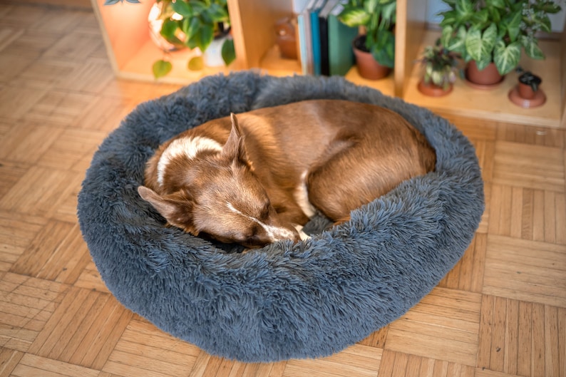 Premium Dog Bed - Washable Dog Bed - Modern Dog Bed, Orthopedic Dog Bed - Calming Dog Bed, Donut Pet Bed - Dog Bed large Dogs