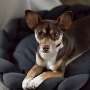 Modern Dog Bed - Calming Dog Bed - Dog Crate, Twisted Dog Bed, Washable Dog Bed - Cat Bed, Pet Bed, Small Dog Bed - Pet Deep Sleep Bed