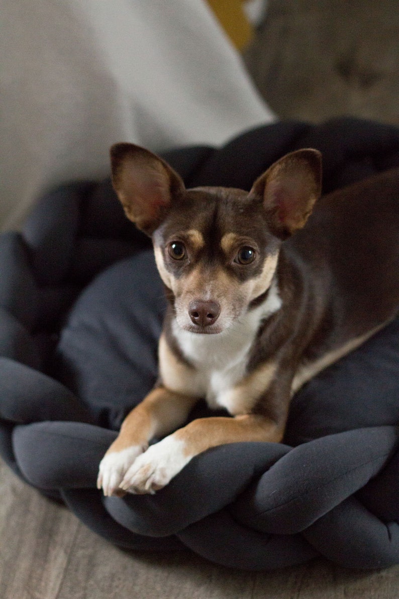 Modern Dog Bed - Calming Dog Bed - Dog Crate, Twisted Dog Bed, Washable Dog Bed - Cat Bed, Pet Bed, Small Dog Bed - Pet Deep Sleep Bed