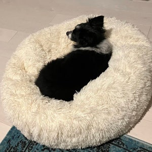 May include: A black and white dog curled up in a white fluffy dog bed.