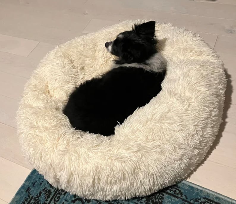 May include: A black and white dog curled up in a white fluffy dog bed.