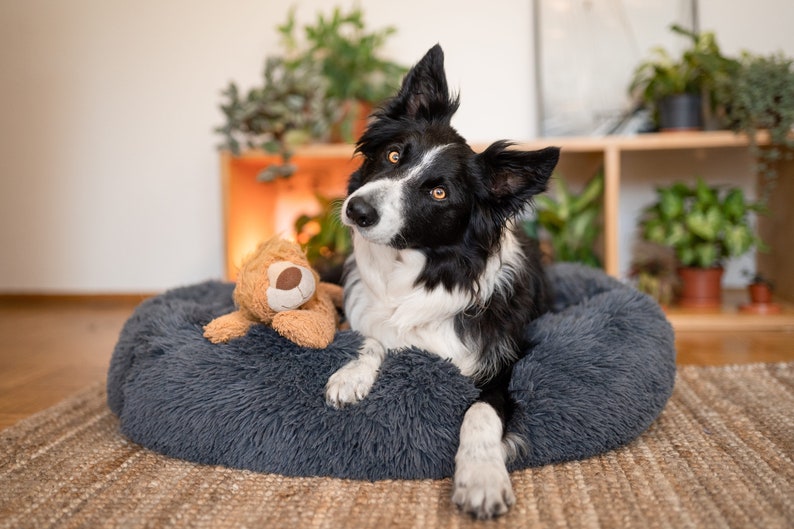 Large Donut Dog Bed – Calming Dog bed for large dogs – Orthopedic dog bed – Washable dog bed – Pet bed – Anti-anxiety dog bed, Cat Bed