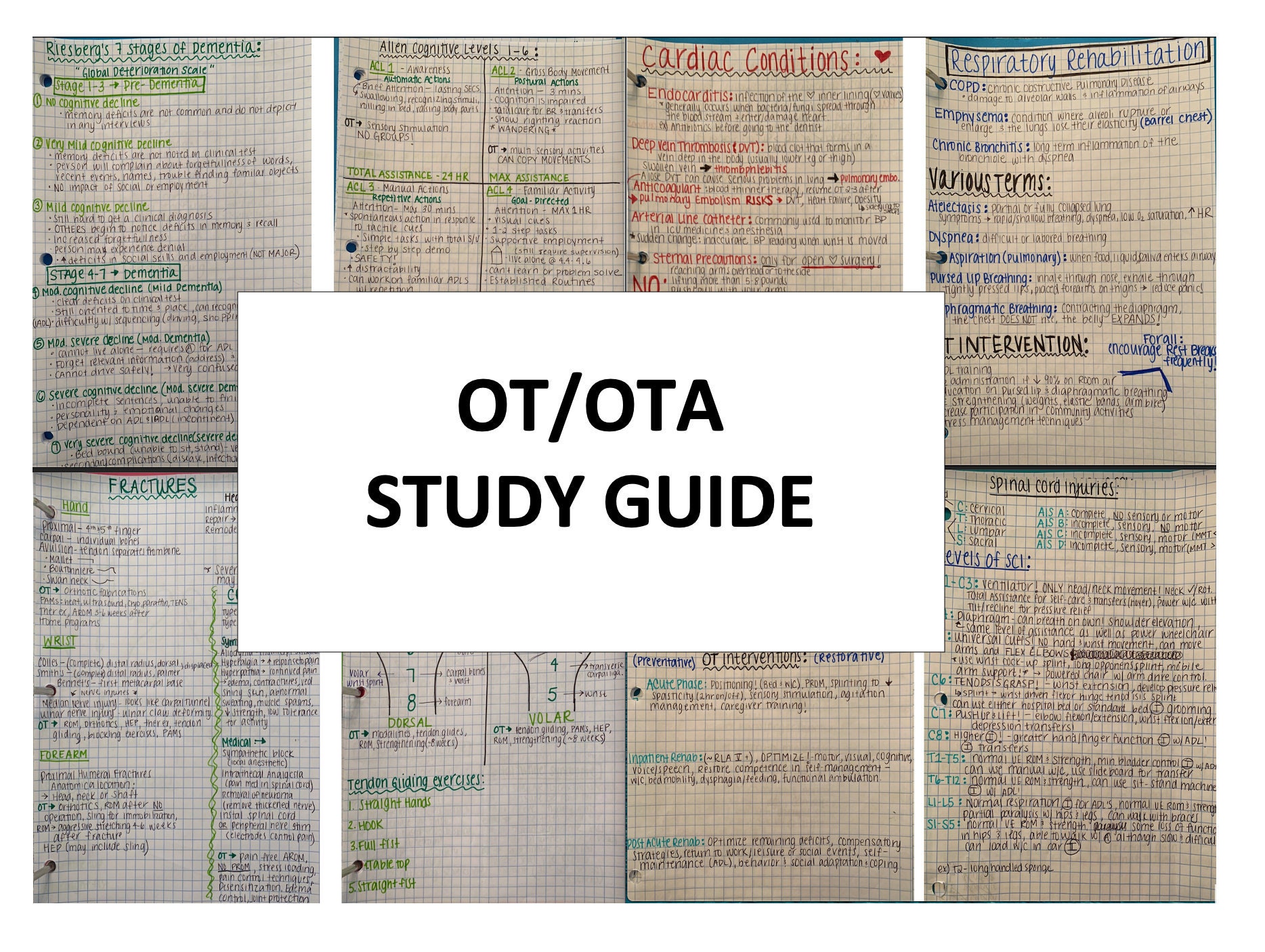OT/ OTA Study Packet Etsy