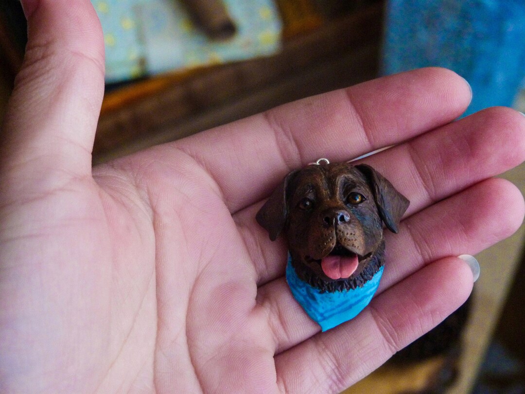 Polymer Clay Pet, Portrait Custom, Personalized Pet Necklace, Pet