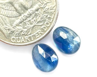 Untreated Blue Kyanite Rose Cut Pair 9.5x7.5x3.5mm | Natural Gemstone Cabs | Loose Stones