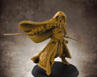 Drizzle, Male Elf Ranger/ Fighter with two swords. Hooded