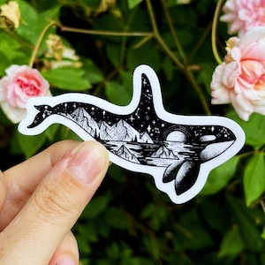 PNW Orca Whale Vinyl Sticker Pack of 3 | Die Cut Killer Whale Decal | Orca Lover Gifts | Whale Decor | Whale Stickers | Puget Sound Art