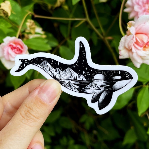 PNW Orca Whale Vinyl Sticker Pack of 3 | Die Cut Killer Whale Decal | Orca Lover Gifts | Whale Decor | Whale Stickers | Puget Sound Art