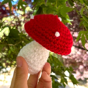 Mushroom Crochet Pattern | No Sew Mushroom Amigurumi Pattern | Cottagecore Toadstool Crochet Pattern Digital Download PDF | Mushroom Plushie