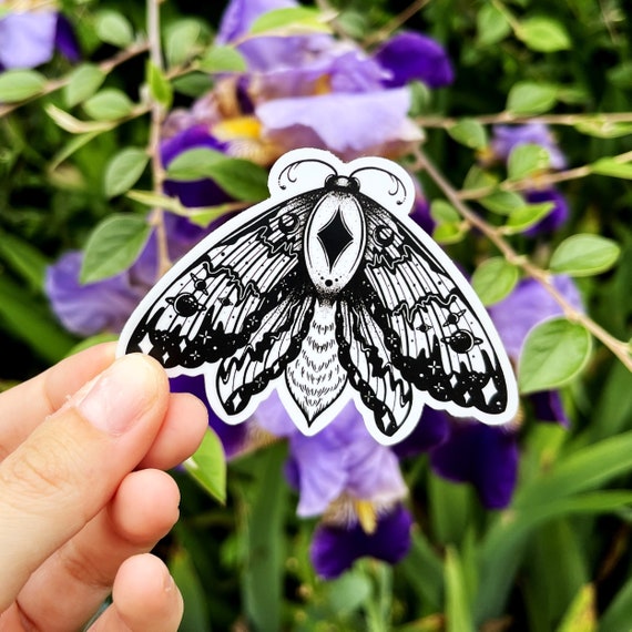 Moth sticker