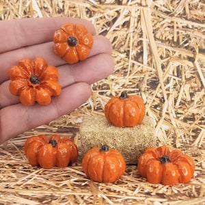 Miniature Pumpkins,fall Miniatures,halloween Miniatures,fairy Garden ...