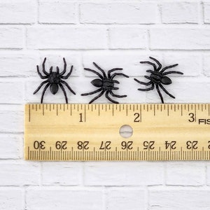 May include: Three black plastic spiders of varying sizes, measured against a wooden ruler. The spiders are approximately 1 inch, 1.5 inches, and 2 inches in length.