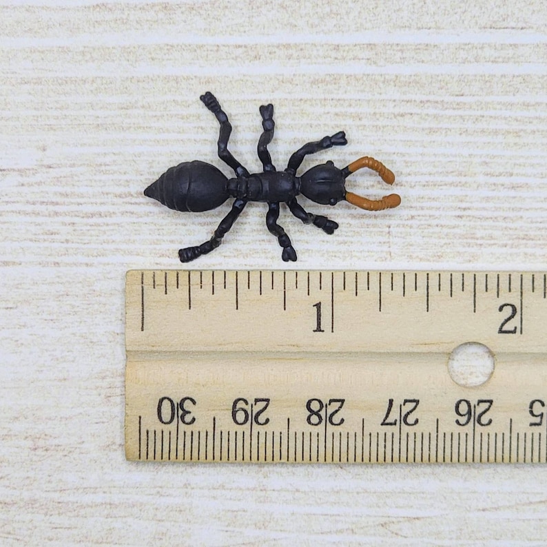 Miniature Ant,tiny Fake Ant,fairy Garden Accessories,terrarium Supplies ...