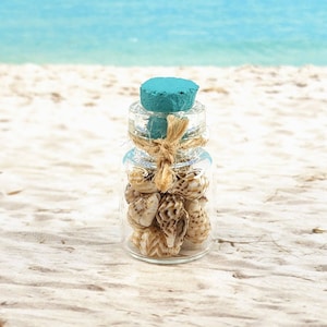 Miniature beach decor,miniature jar of seashells,Dollhouse beach decor,Miniature beach display,Nautical miniatures