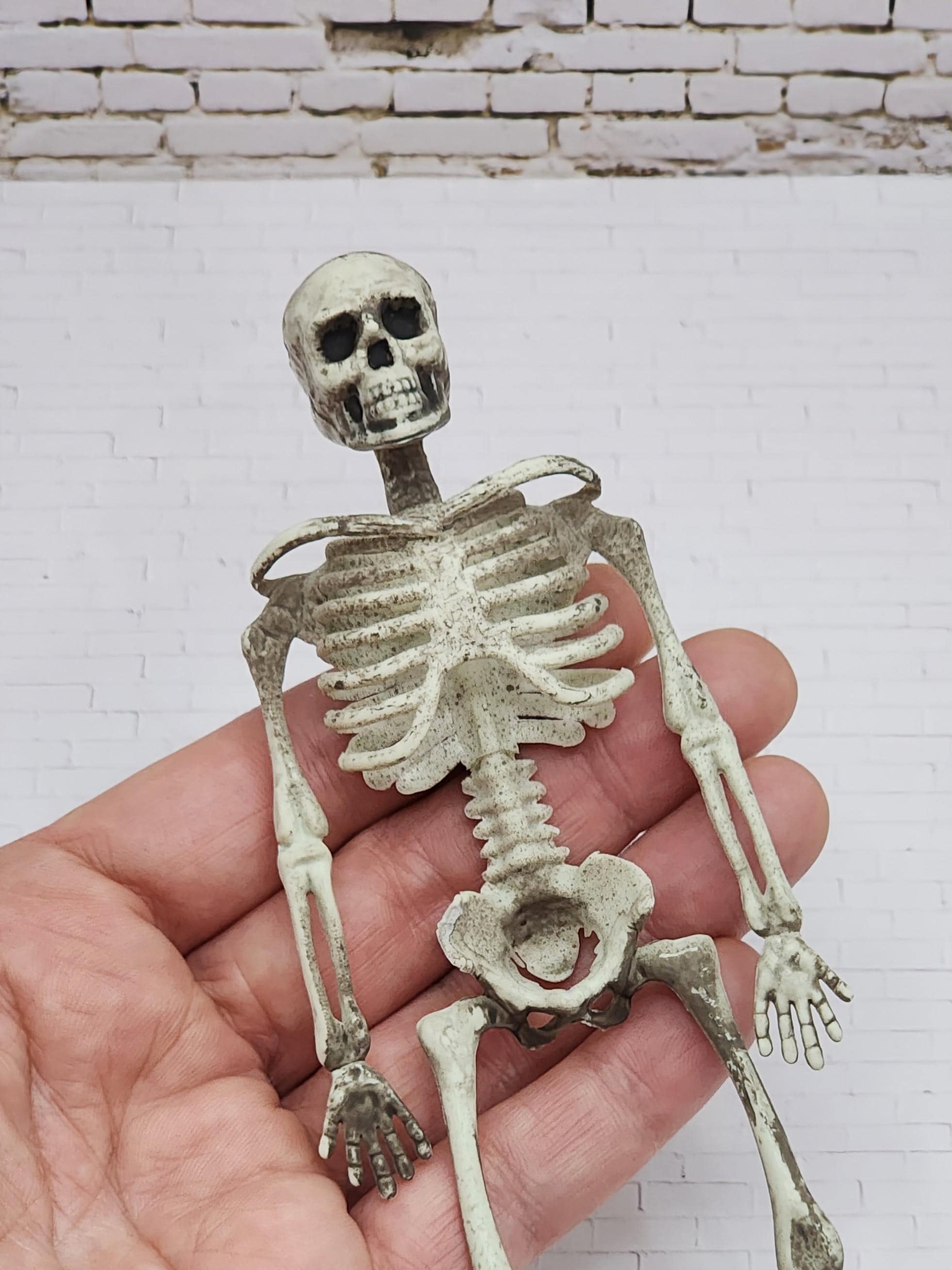 Ekakashop 20 stuks Hars Schedel Set Halloween Mini Schedel Figuur Mini Schedel Model Halloween Decoratie Schedel Figuur Mini Schedel Figuur Mini Schedel Landschap Tuin Potplant Decoratie