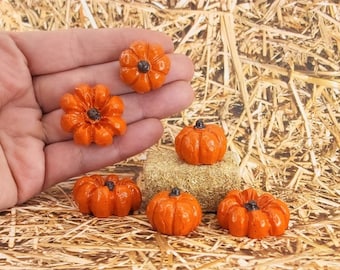 May include: Six miniature orange pumpkins with brown stems. The pumpkins are arranged on a bed of straw.