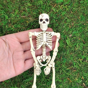 Miniature Posable Skeleton,1:6 Scale,Halloween Miniatures,Haunted Dollhouse,Halloween Fairy Garden,Mini Halloween Decor,Halloween Crafts