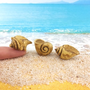 May include: Three small, decorative seashells in a light brown color. The shells are sitting on a sandy beach.