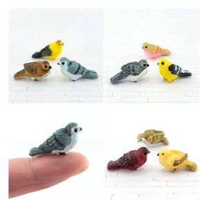 Miniature Birds,Dollhouse Bird,Fairy Garden Bird,Fairy Garden Accessories,Terrarium Supplies,Mini Birds